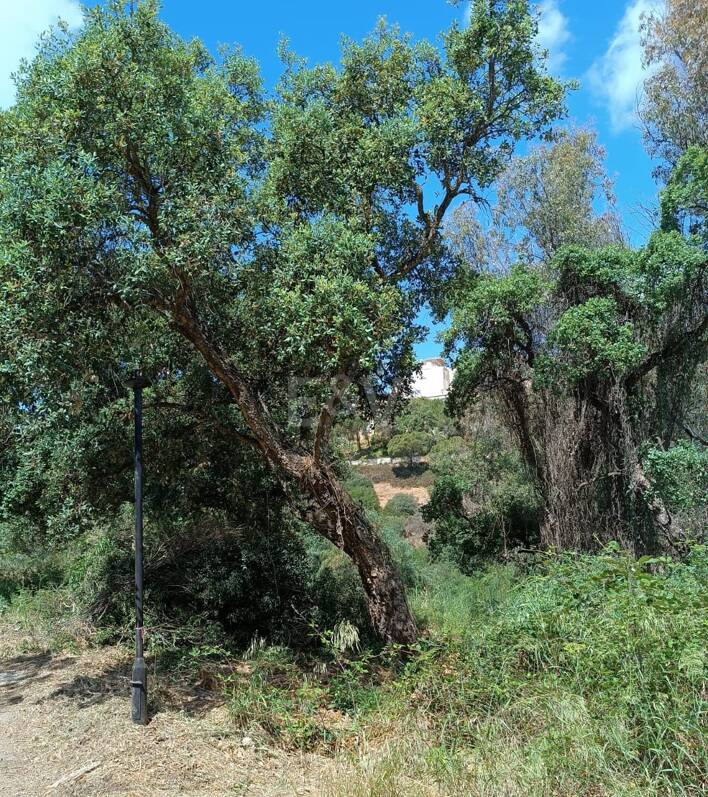 Grundstück in ruhiger Lage in Elviria