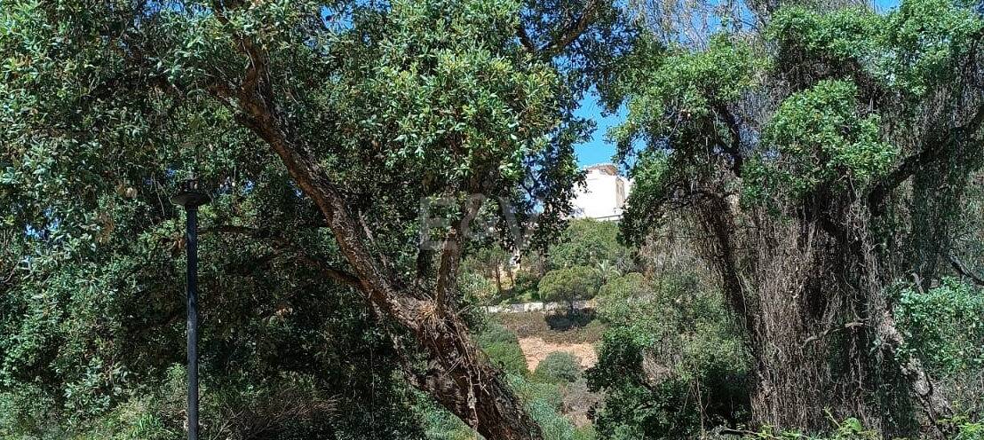 Plot in Quiet Area in Elviria
