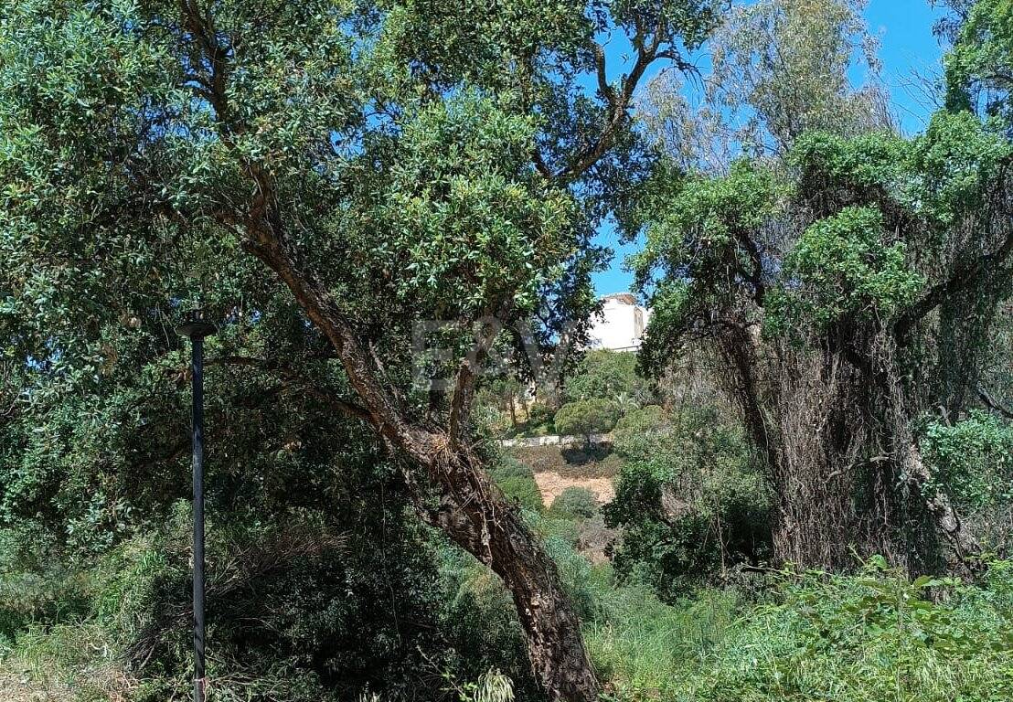 Plats i tyst område i Elviria