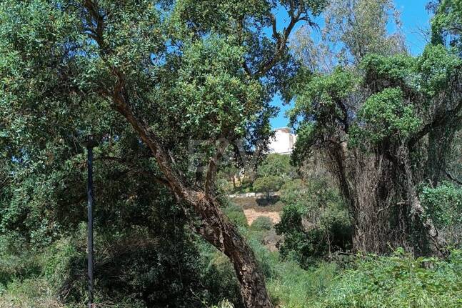 Plats i tyst område i Elviria