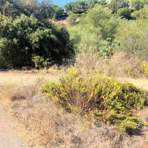 Plot in Quiet Area in Elviria