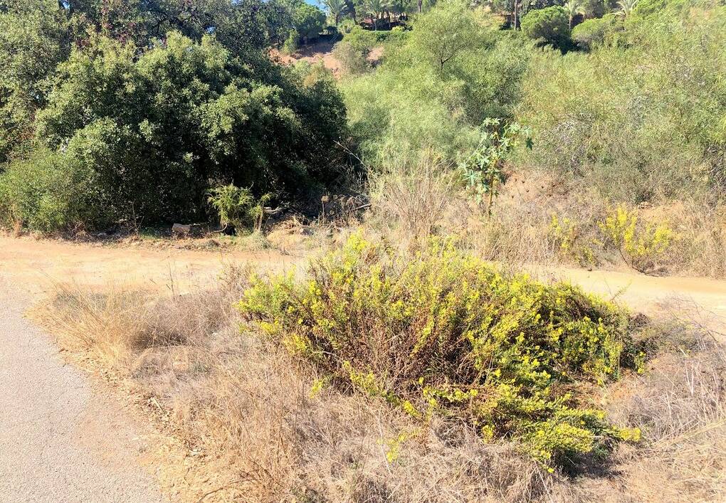 Grundstück in ruhiger Lage in Elviria