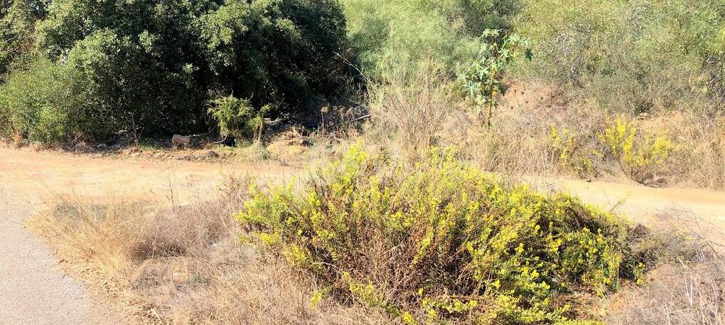 Plot in Quiet Area in Elviria