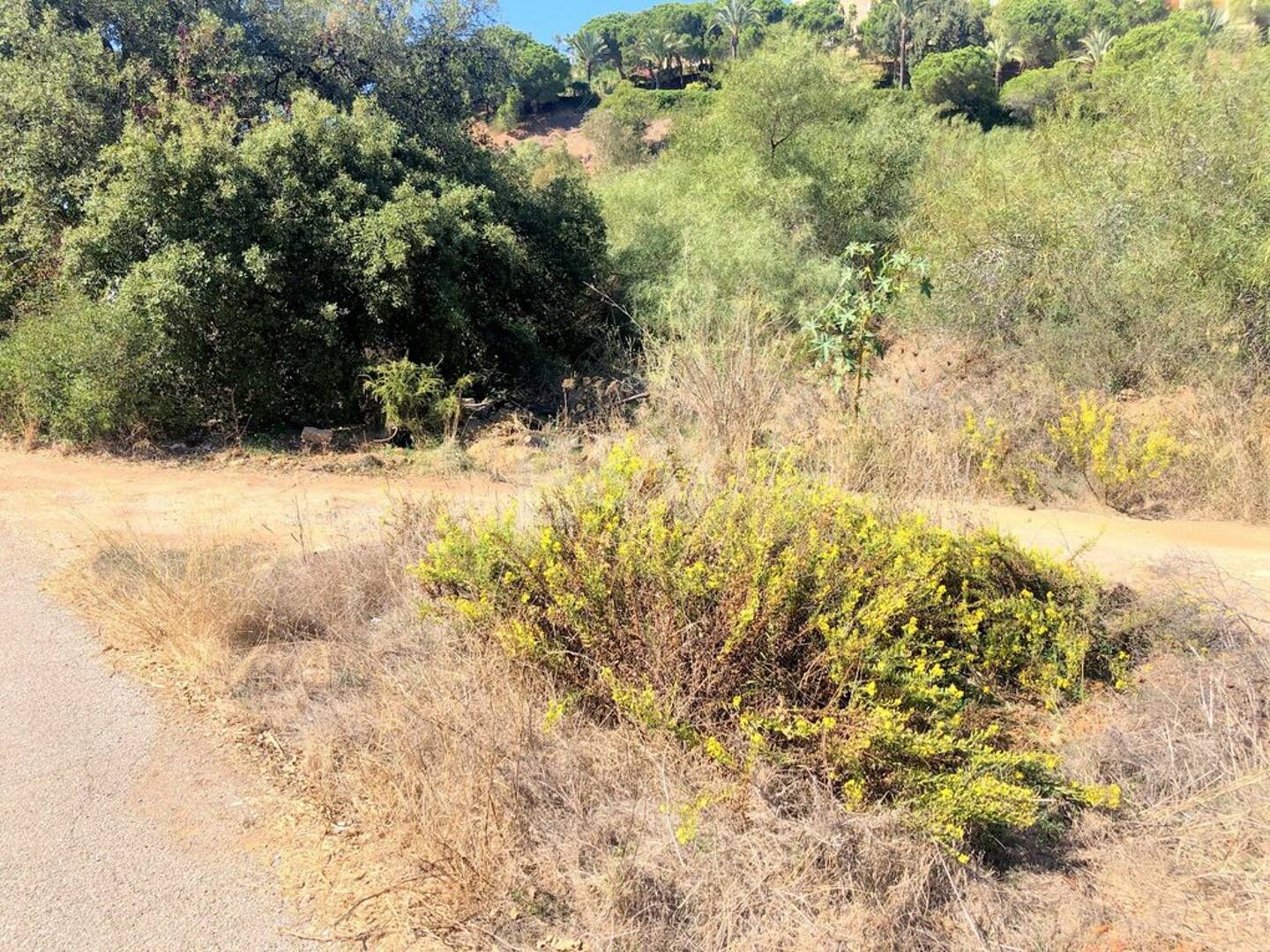 Plats i tyst område i Elviria