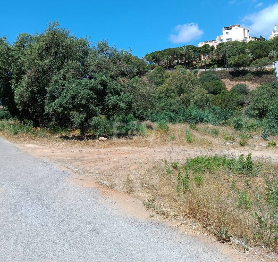 Elviria: Idealisk investeringsmöjlighet