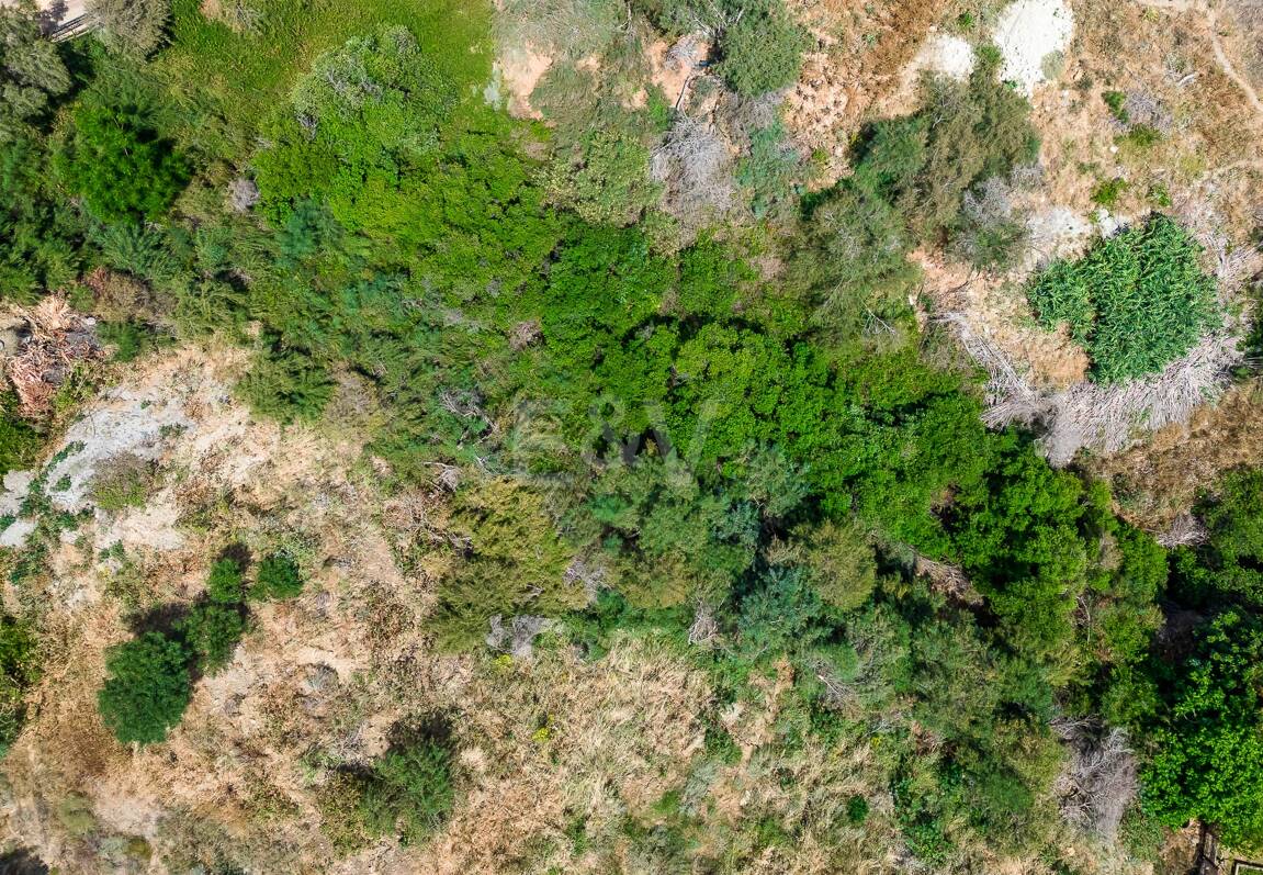 Grande opportunité dans El Paraiso Alto terrain fantastique avec vue sur la mer et le golf