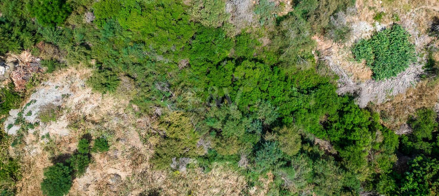 Great opportunity in El Paraiso Alto fantastic plot with sea and golf views