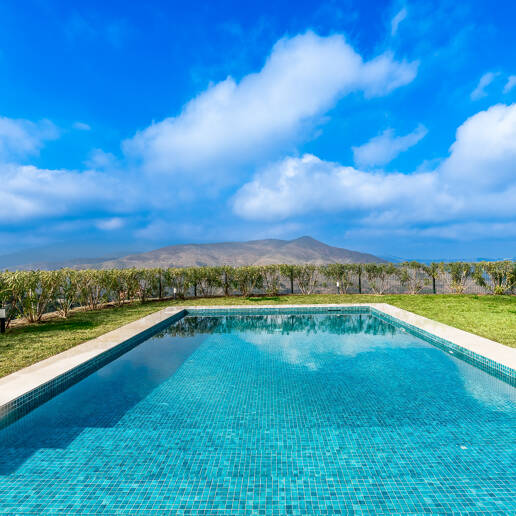 Completely renovated Andalusian style villa in La Mairena