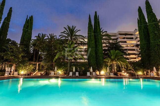 Urban Oasis a Few Steps from the Beach in Don Gonzalo