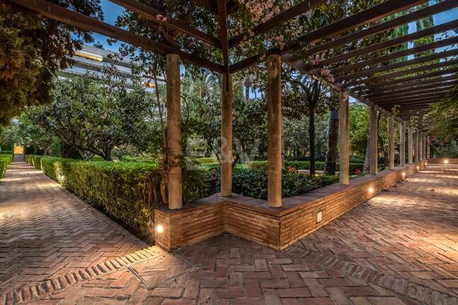 Urban Oasis a Few Steps from the Beach in Don Gonzalo