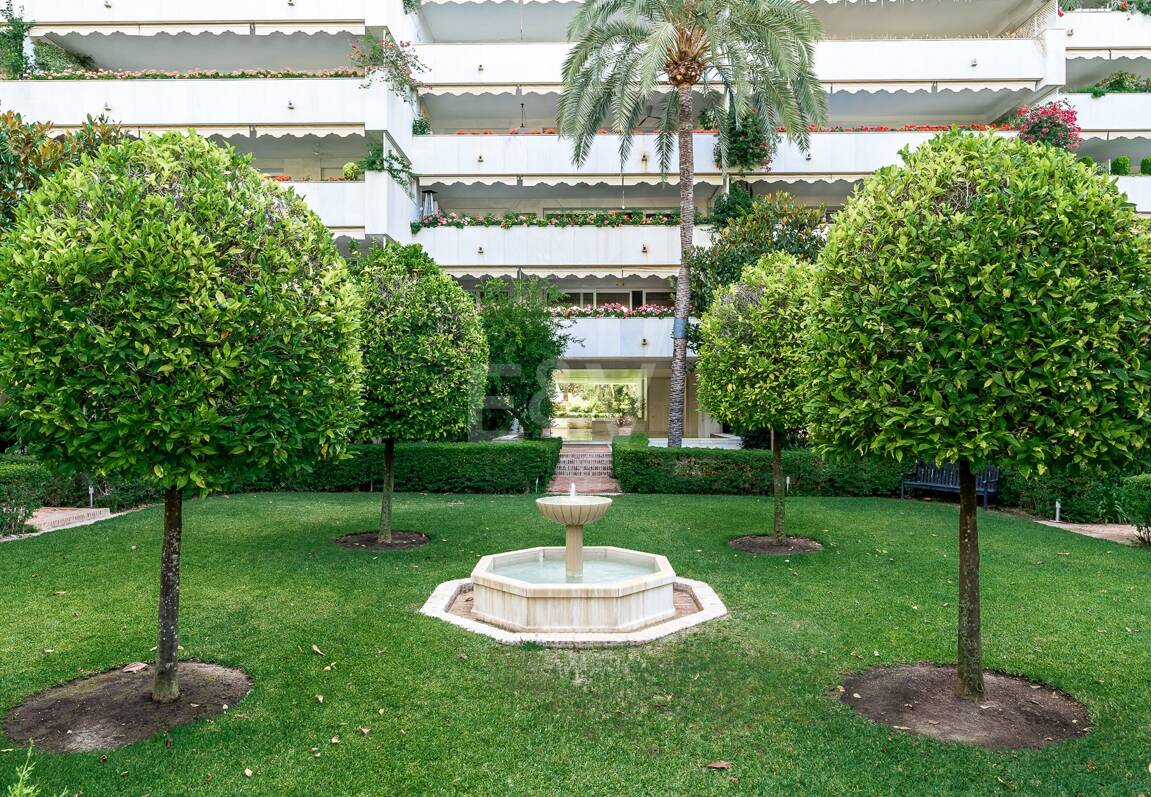 Urban Oasis a Few Steps from the Beach in Don Gonzalo