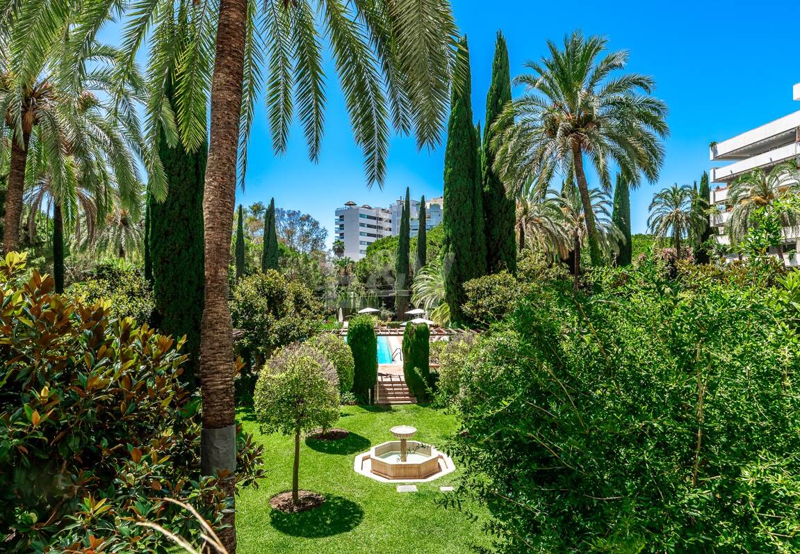 Urban Oasis a Few Steps from the Beach in Don Gonzalo