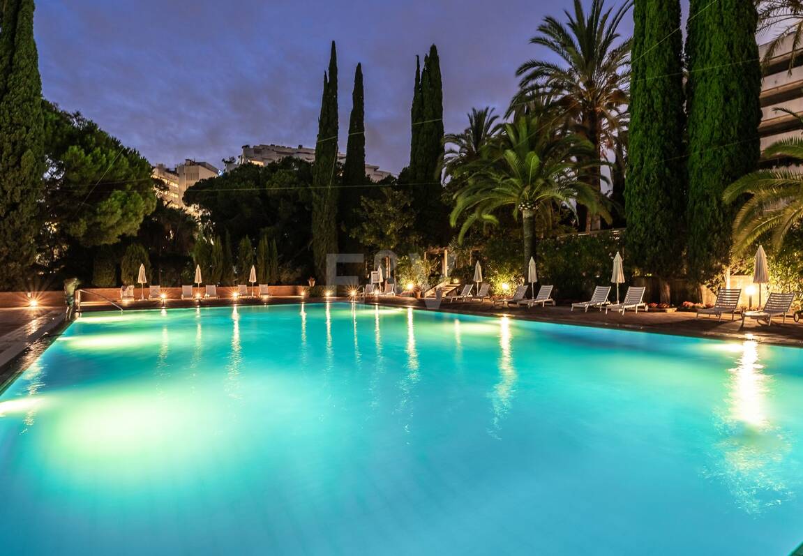 Urban Oasis a Few Steps from the Beach in Don Gonzalo