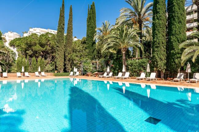 Urban Oasis a Few Steps from the Beach in Don Gonzalo