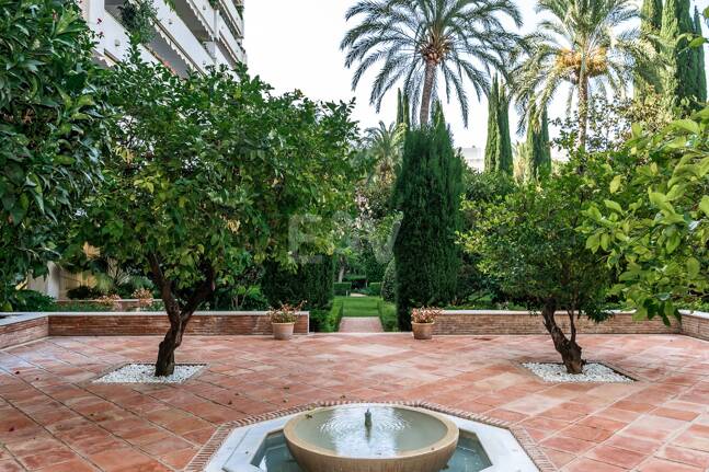 Urban Oasis a Few Steps from the Beach in Don Gonzalo