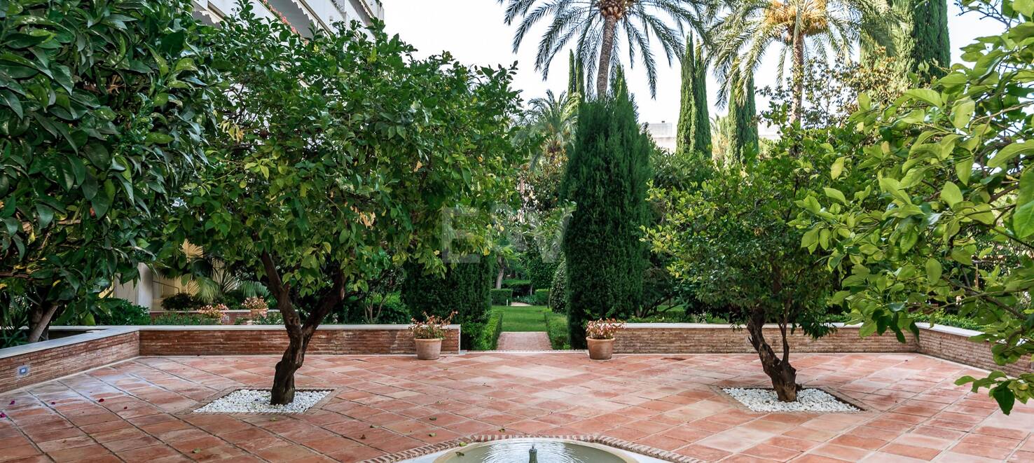 Oasis urbaine à quelques pas de la plage de Don Gonzalo