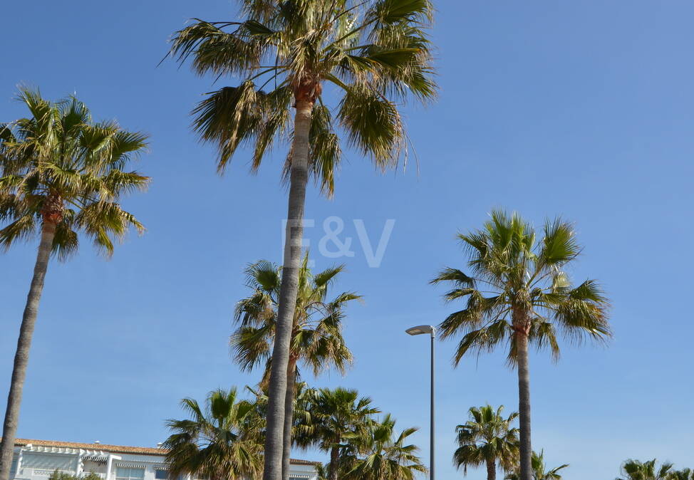 Modern villa i Nueva Andalucia på unikt läge