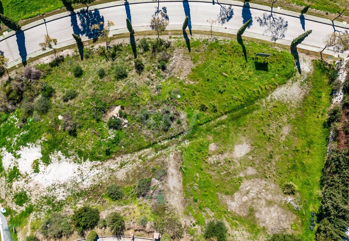 Extraordinary Investment Opportunity in Los Flamingos Golf