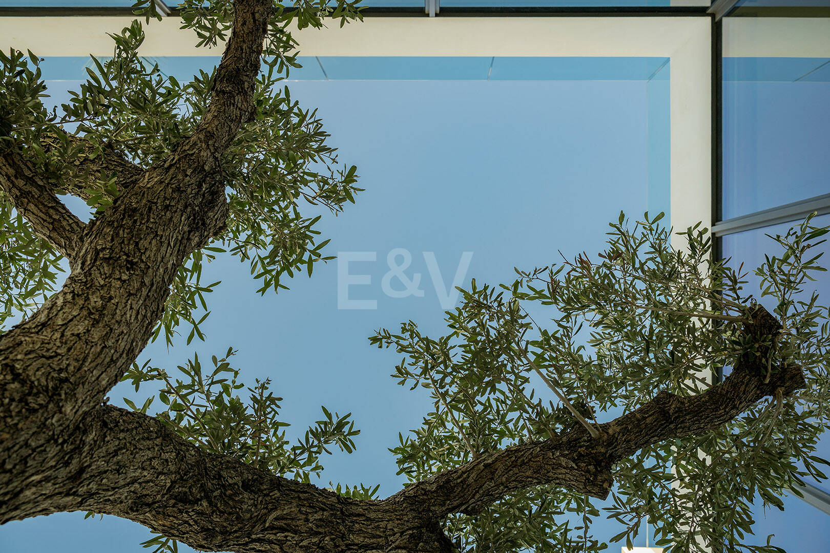 Wyrafinowane nowoczesne wille na Golden Mile