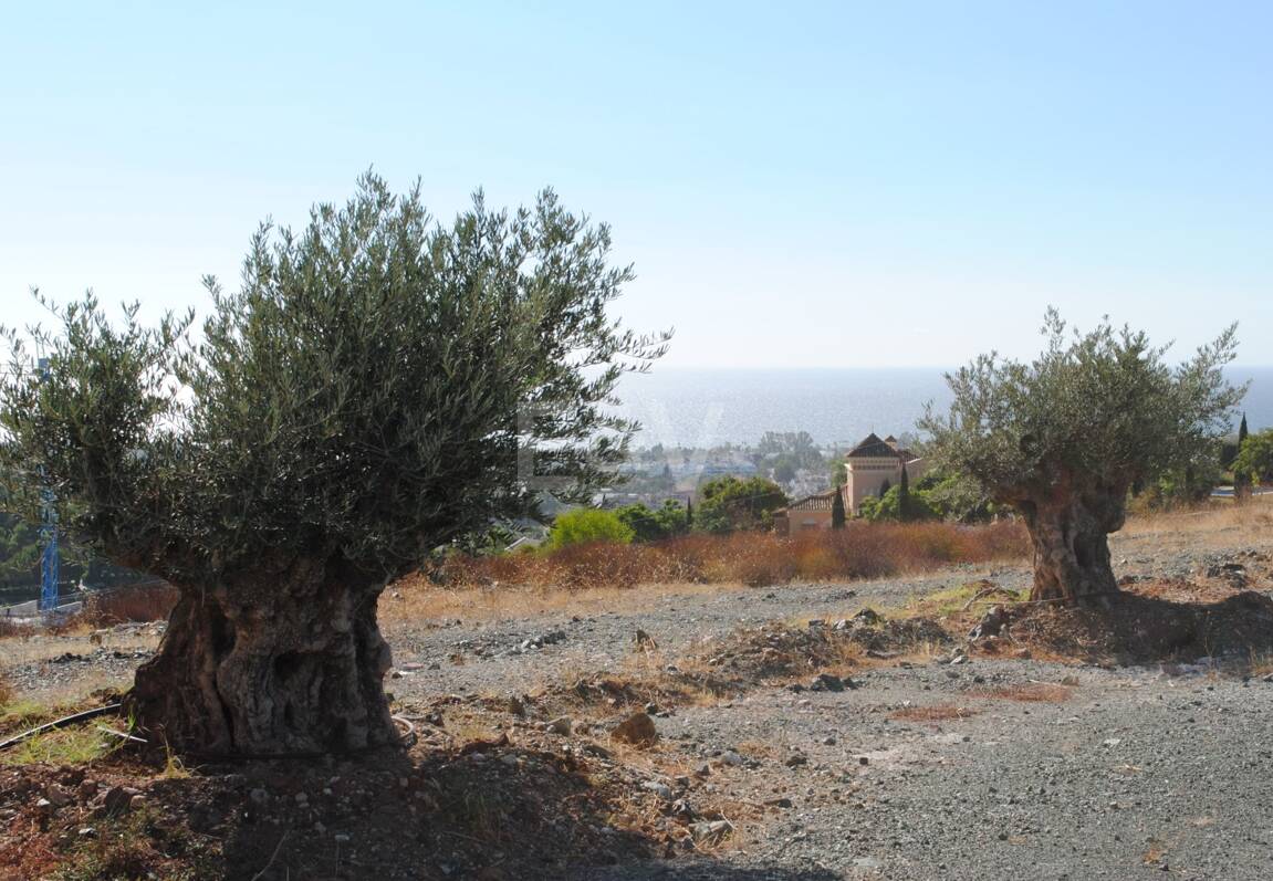 Stor tomt i Los Flamingos Golf med panoramautsikt över havet