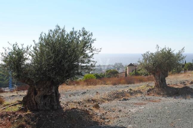 Stor tomt i Los Flamingos Golf med panoramautsikt över havet
