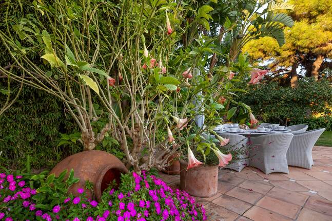 Villa with sea views in Cascada de Camoján. Prices from €6,000per week