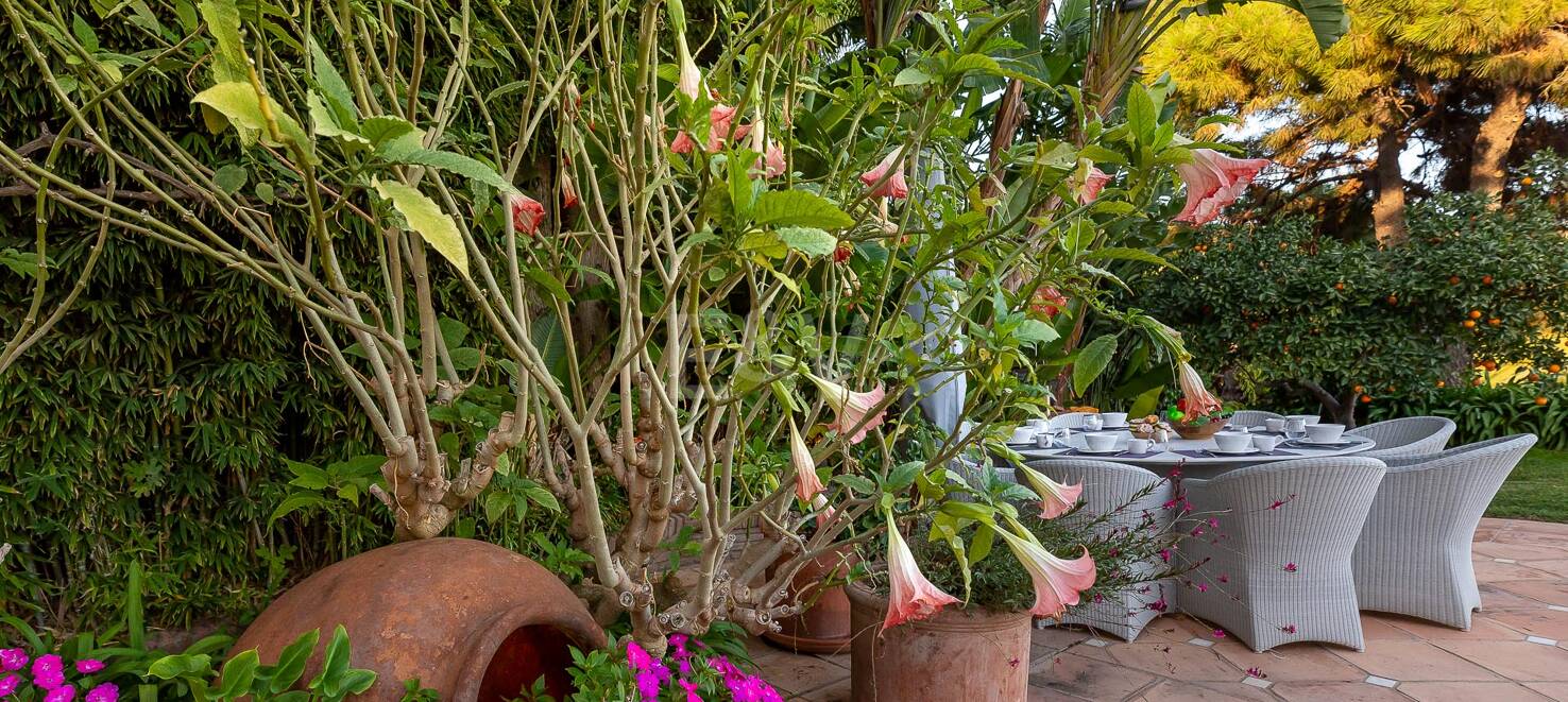 Villa att hyra i Cascada de Camojan, Marbella Golden Mile