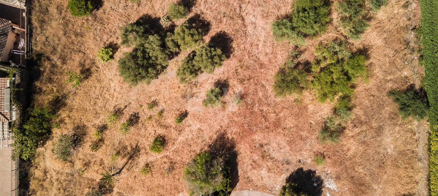 Best Plots in Haza del Conde, Nueva Andalucia