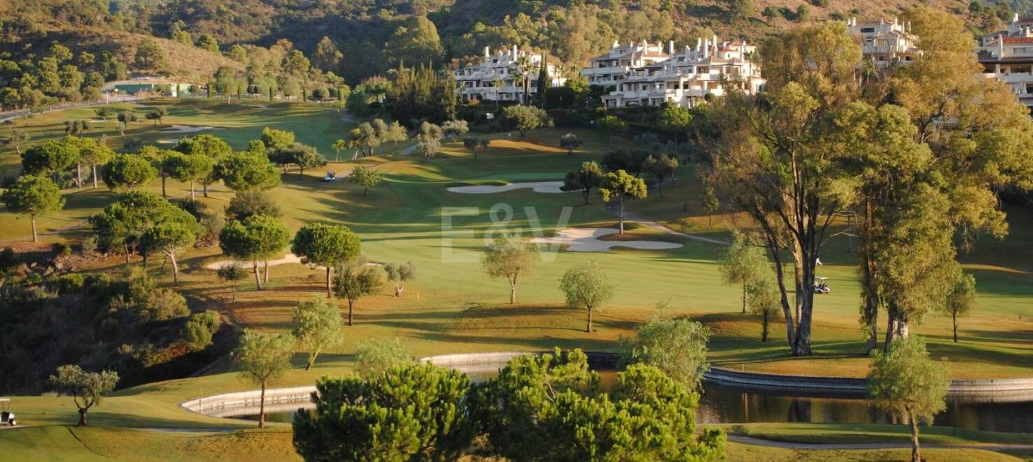 Best Plots in Haza del Conde, Nueva Andalucia