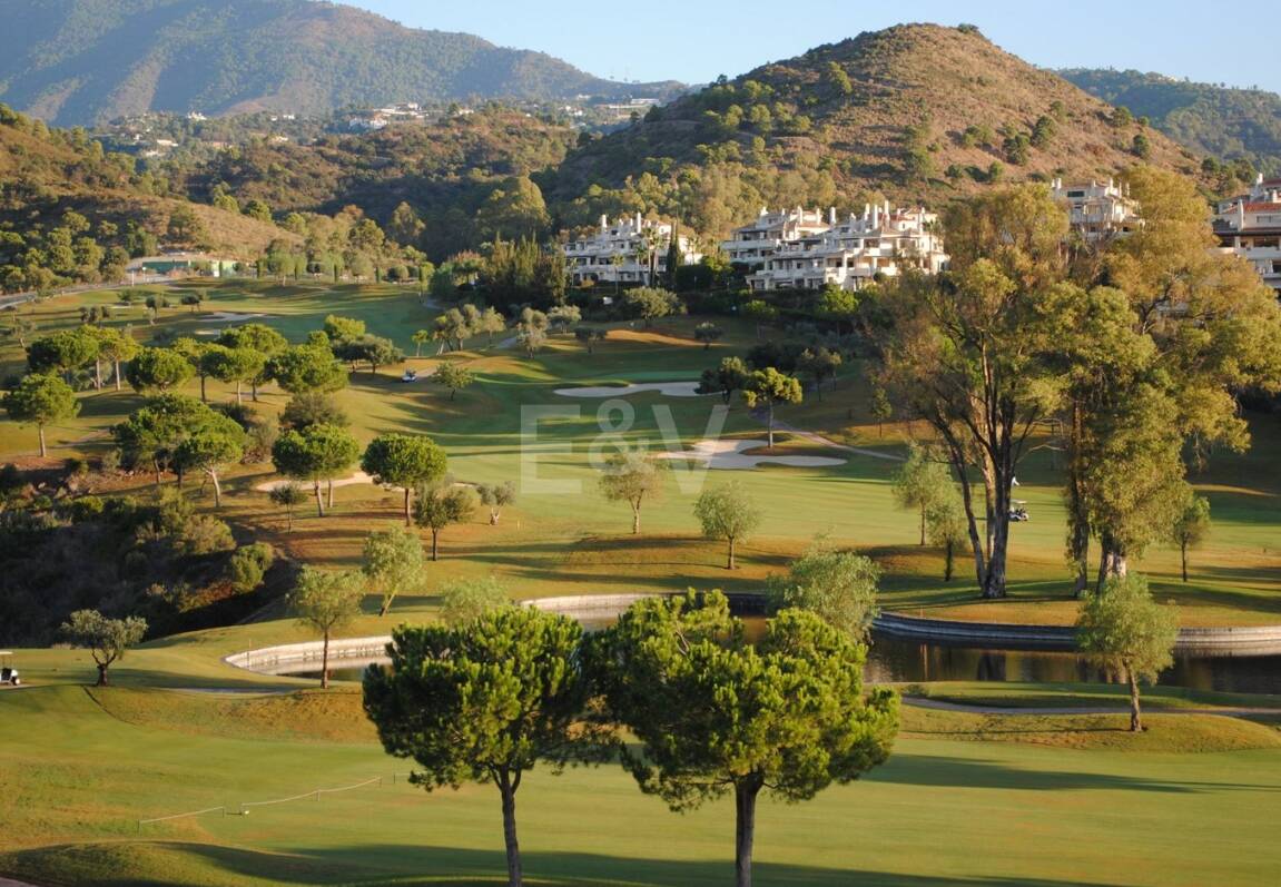 Best Plots in Haza del Conde, Nueva Andalucia