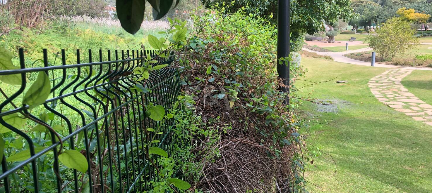 Parcela en el centro de Benahavís con posición en primera línea en el Parque del Pueblo de Benahavís