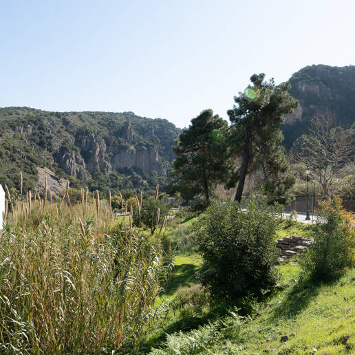 Gelegenheit - Gewerbegrundstück im Zentrum von Benahavís in erstklassiger Lage.
