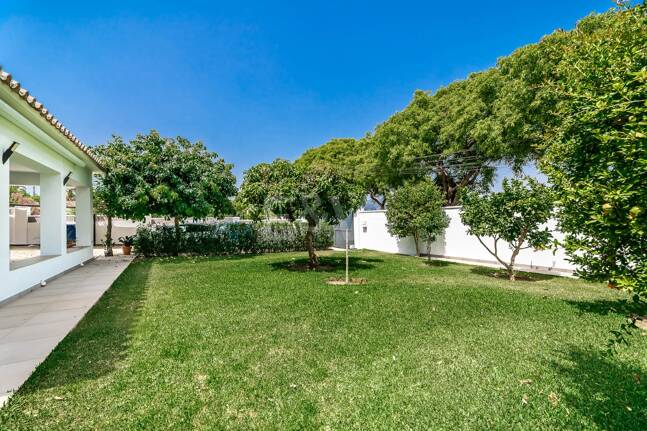 Moderne Villa am Strand von San Pedro nahe dem Stadtzentrum