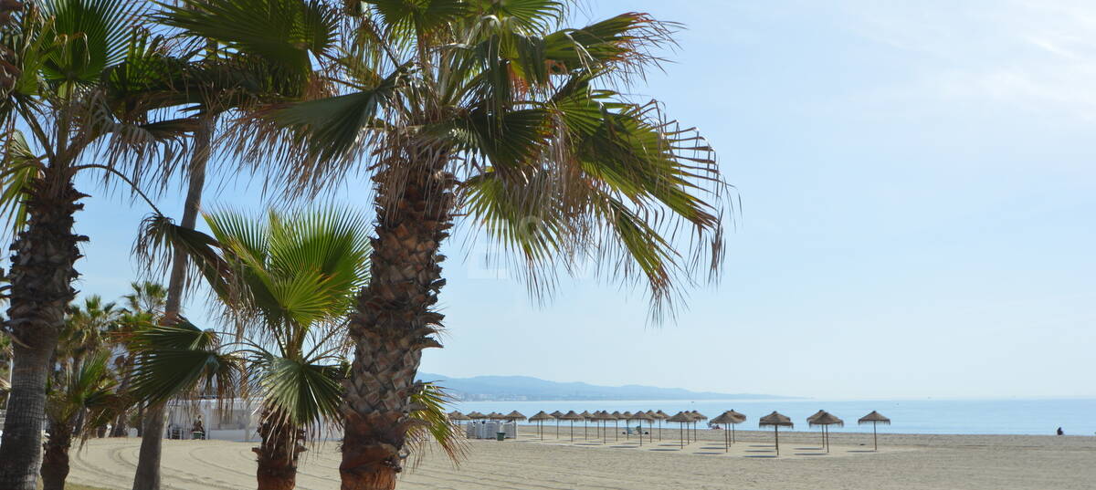 Villas Project in Nueva Andalucia, steps away from Puerto Banus