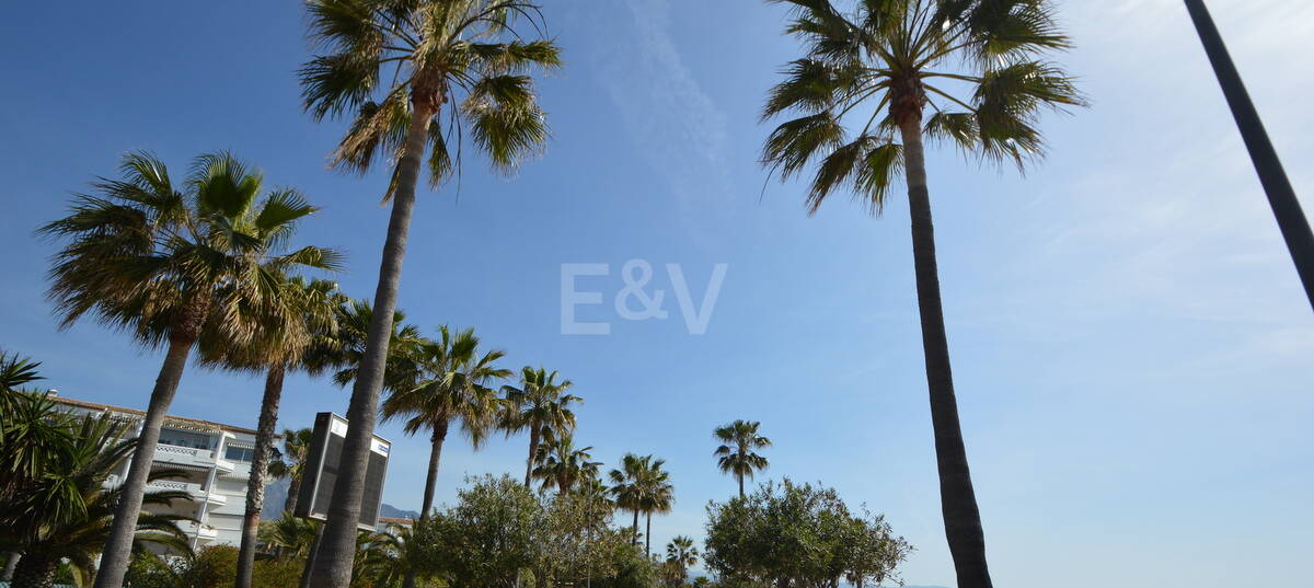 Villas Project in Nueva Andalucia, steps away from Puerto Banus