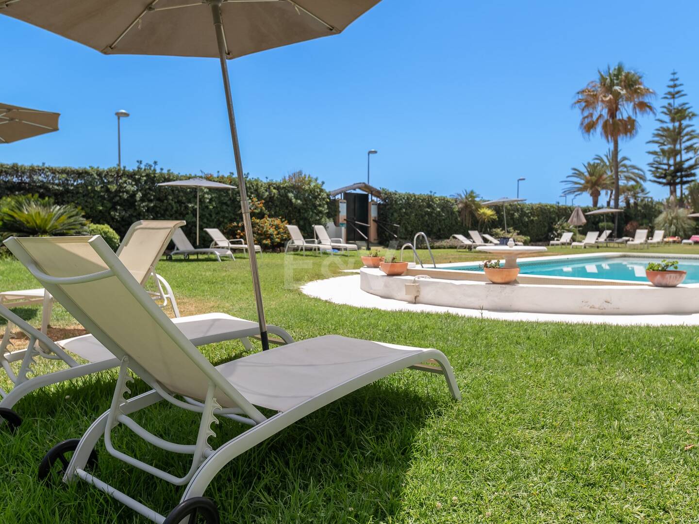 Beachfront Apartment in Puerto Banus with Sea Views