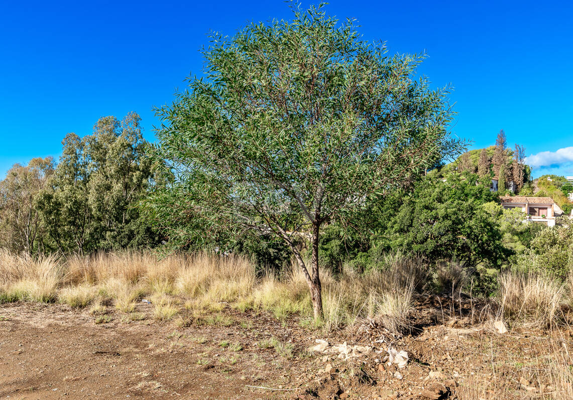 Baugrundstück mit Baugenehmigung und Meerblick in Elviria