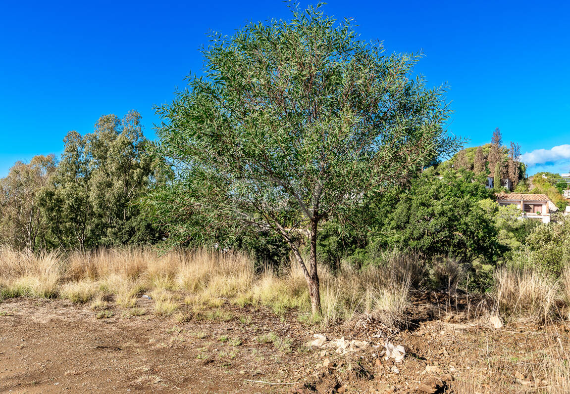 Plot med bygglicens och havsutsikt i Elviria