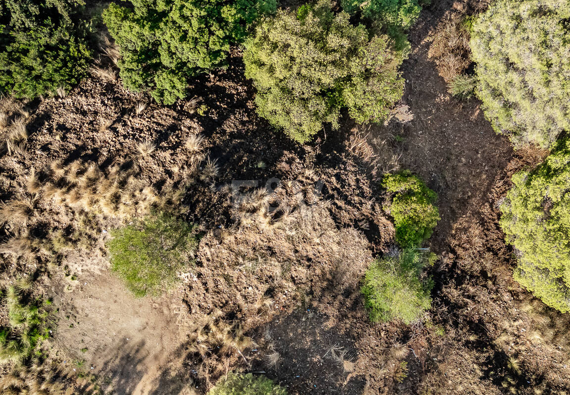 Plot med bygglicens och havsutsikt i Elviria