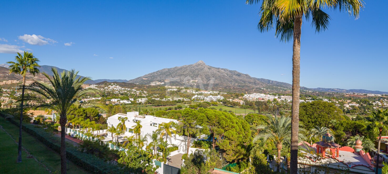 Ático dúplex en Nueva Andalucía con piscina en azotea y vistas panoramicas increibles