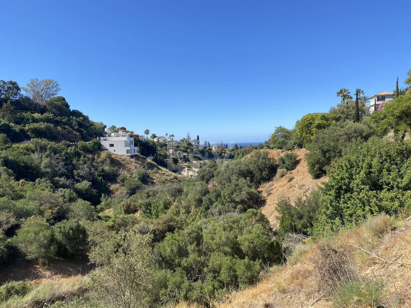 Bygglicens för försäljning i El Rosario