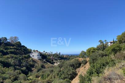 Bygglicens för försäljning i El Rosario