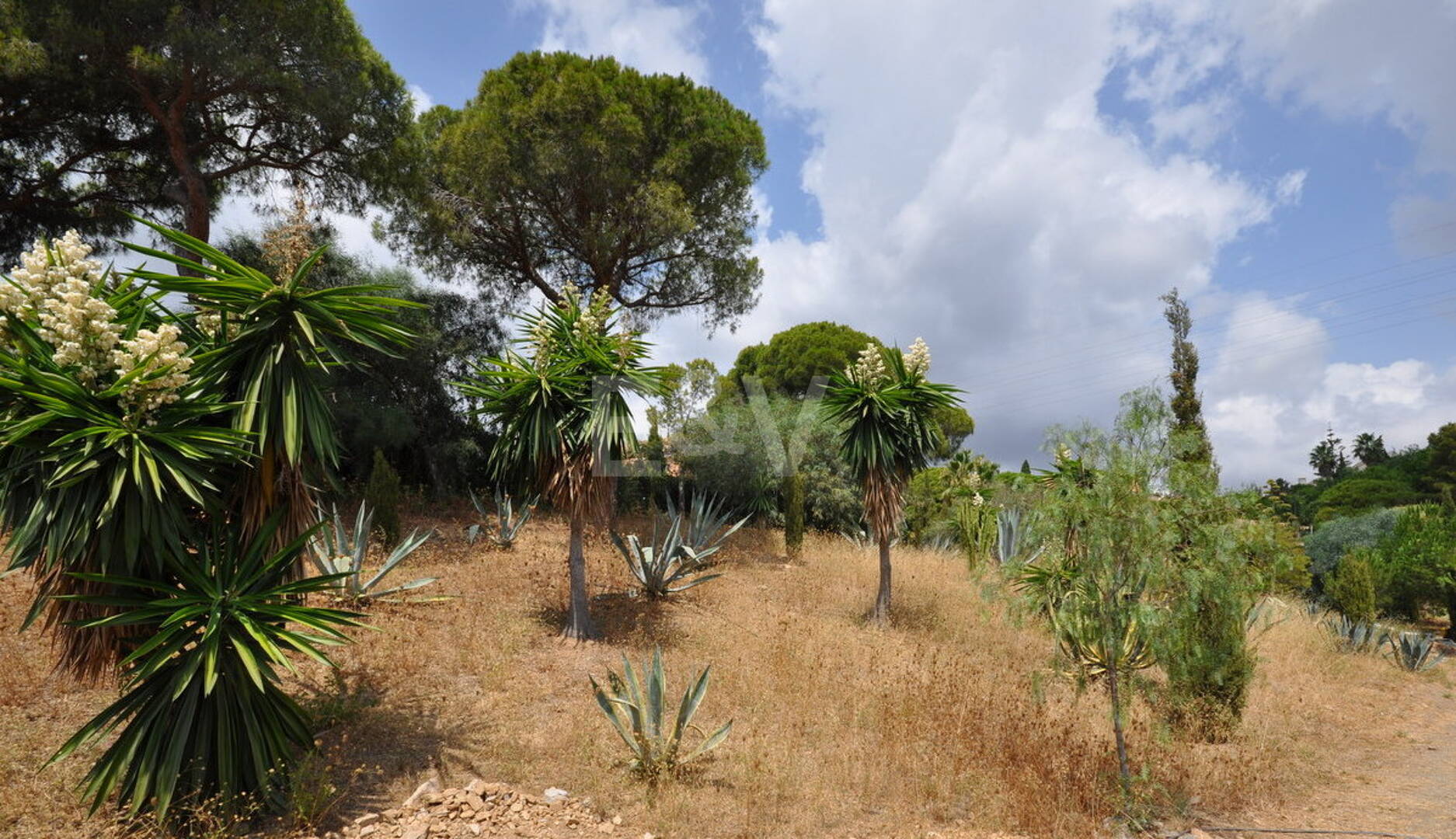 Tomt i hjärtat av Elviria med havsutsikt