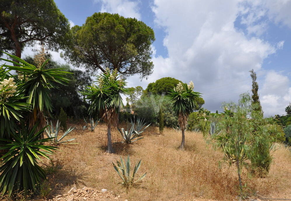 Plot in the Heart of Elviria with Sea Views