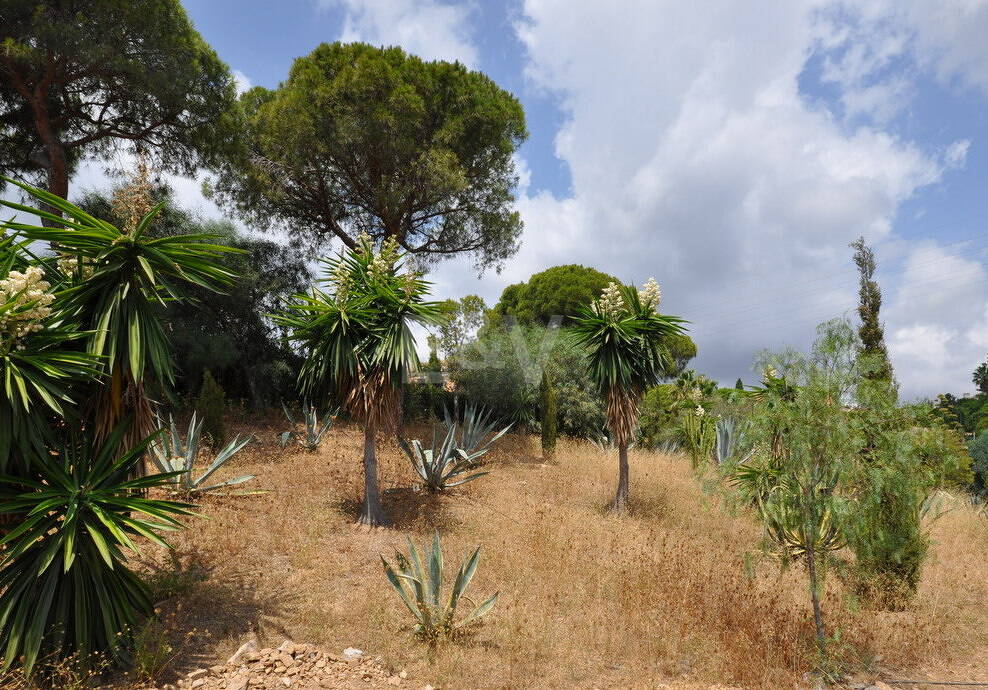 Parcelle au coeur de l'Elviria avec vue sur la mer