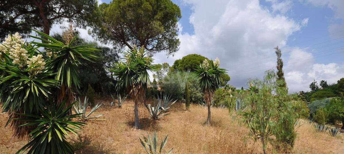 Plot in the Heart of Elviria with Sea Views