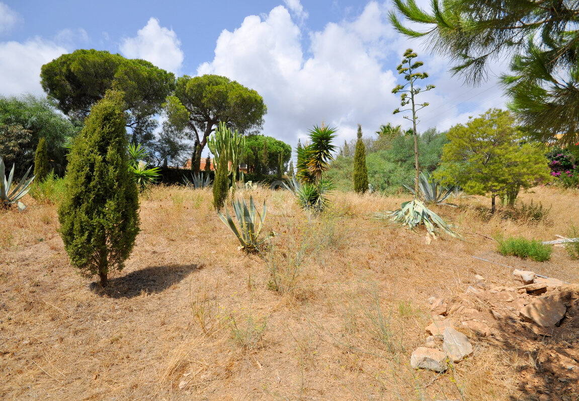 Plot in the Heart of Elviria with Sea Views