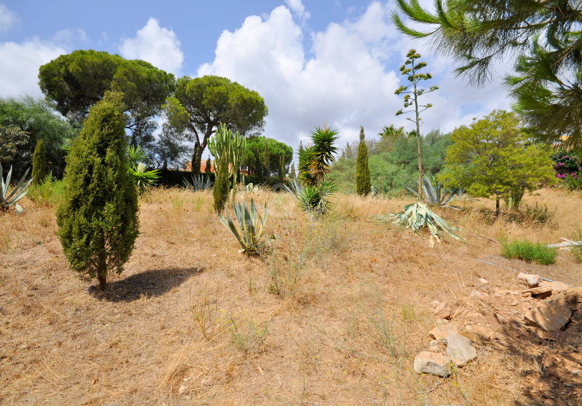 Parcelle au coeur de l'Elviria avec vue sur la mer
