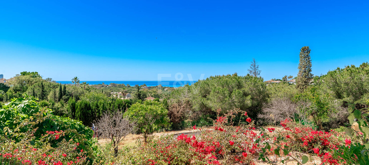 Possibilité d'investissement unique avec 5250m2 terrain dans la prestigieuse région d'Elviria