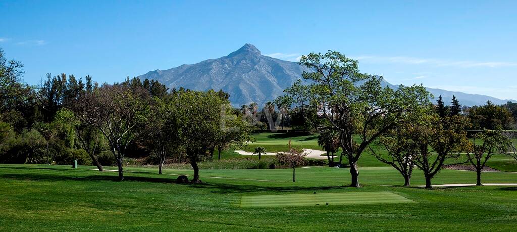 Investment Opportunity - Villa on double Plot with La Concha views